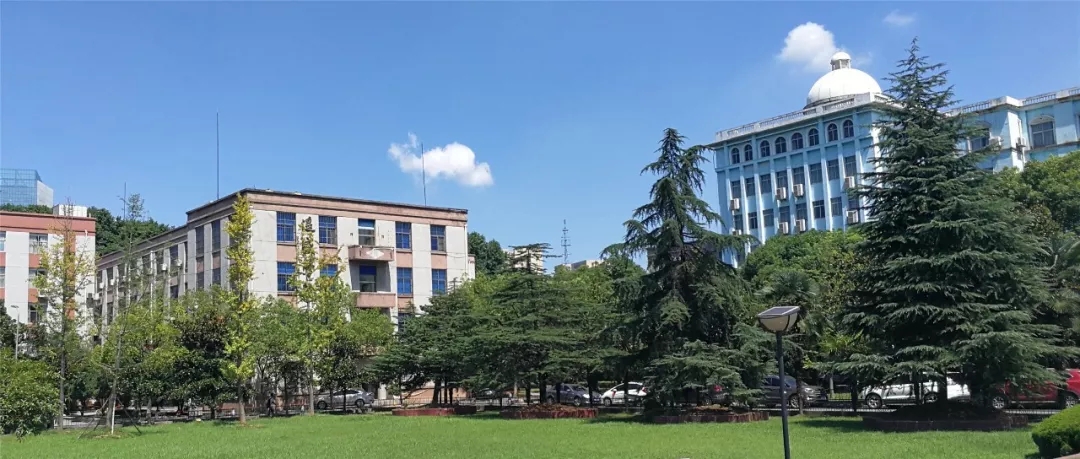 武大遙感 世界卓越 武大遙感 世界卓越