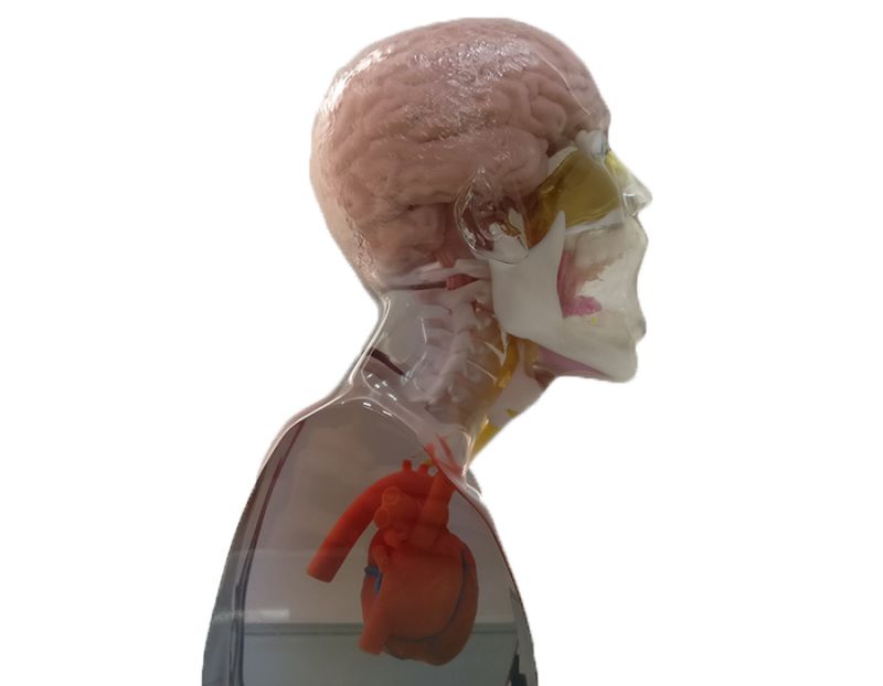 640 (17).jpg 640 (17).jpg