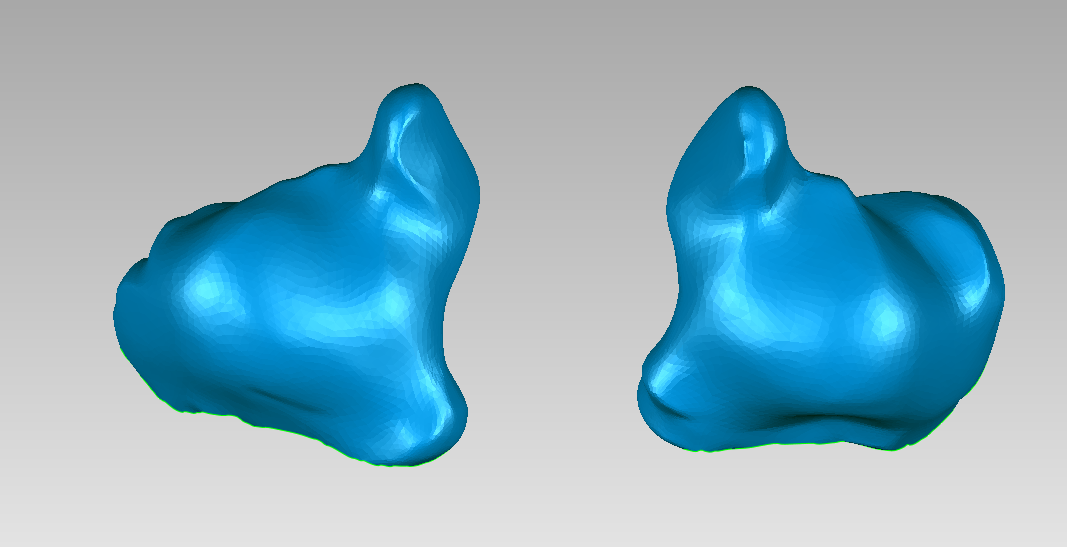 MarvelScan三維掃描儀應用于人臉和耳朵3D掃描建模 MarvelScan三維掃描儀應用于人臉和耳朵3D掃描建模