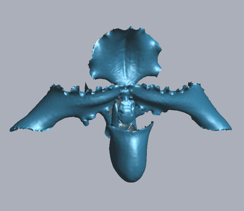 RigelScan三維激光掃描儀應用于植物3D數據采集建模和存檔分析 RigelScan三維激光掃描儀應用于植物3D數據采集建模和存檔分析