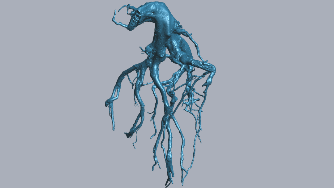 RigelScan三維激光掃描儀應用于植物3D數據采集建模和存檔分析 RigelScan三維激光掃描儀應用于植物3D數據采集建模和存檔分析