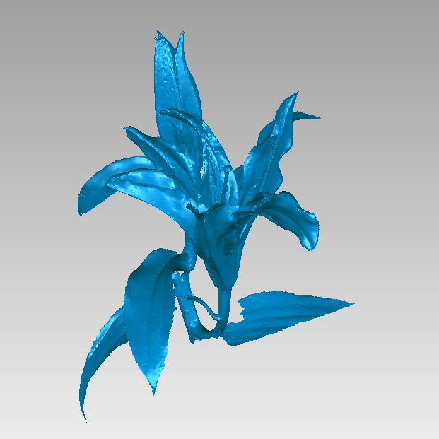 RigelScan三維激光掃描儀應用于植物3D數據采集建模和存檔分析 RigelScan三維激光掃描儀應用于植物3D數據采集建模和存檔分析