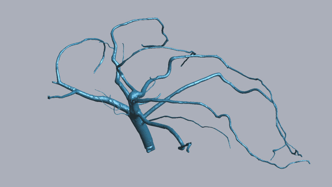 RigelScan三維激光掃描儀應用于植物3D數據采集建模和存檔分析 RigelScan三維激光掃描儀應用于植物3D數據采集建模和存檔分析