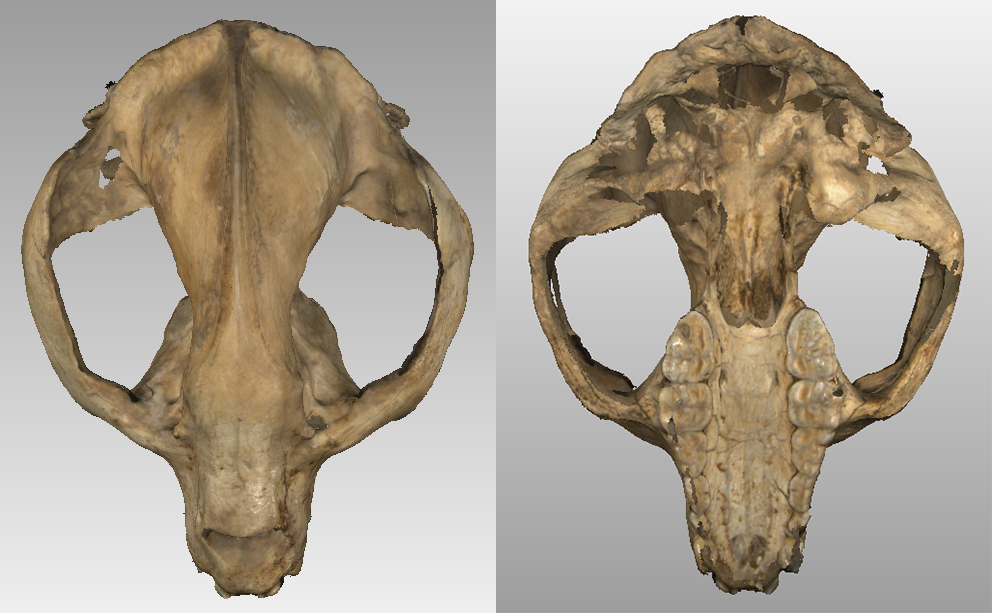 結合ArtMapping貼圖軟件，實現(xiàn)二維影像紋理與三維激光點云數據的自動配準、融合，操作智能高效，效果真實細膩