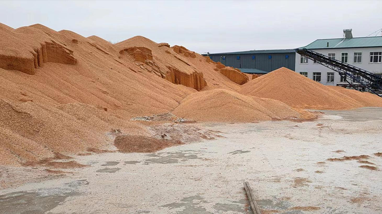 地面谷堆存量測(cè)量 地面谷堆存量測(cè)量